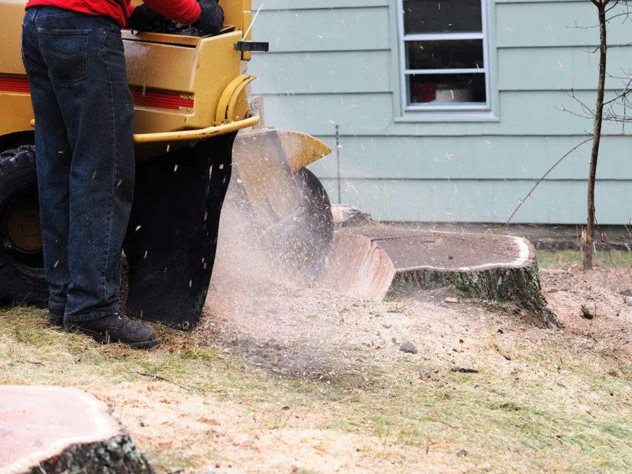 man grinding a stump
