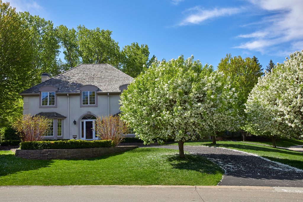 The front yard and driveway of a house with flowering trees in the front and large green trees in the back.
